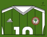 Camiseta del mundial de fútbol 2014 de Nigeria