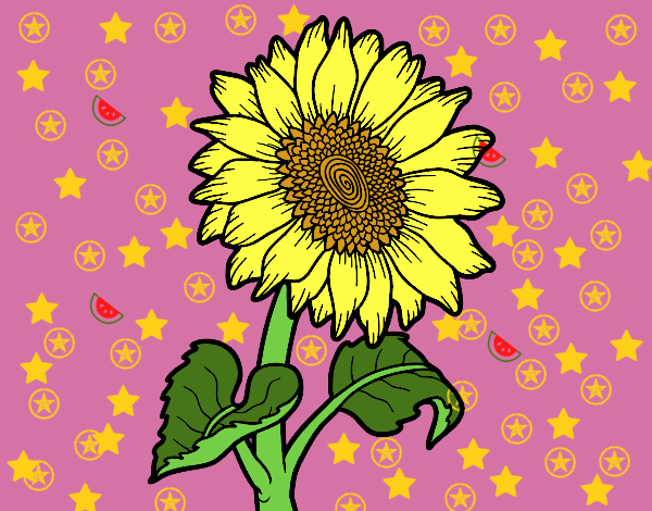 Flor de girasol