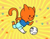 Gato jugando a fútbol