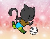 Gato jugando a fútbol