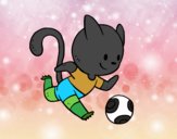 Gato jugando a fútbol