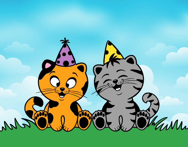 Gatos de cumpleaños