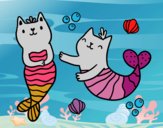 Gatos sirena