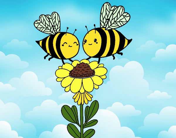 Pareja de abejas