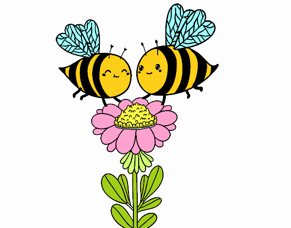 Pareja de abejas