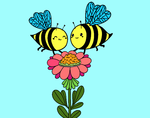 Pareja de abejas