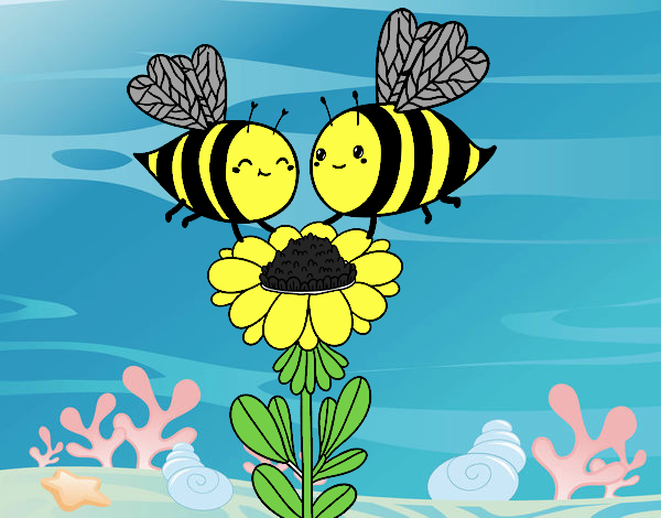 Pareja de abejas