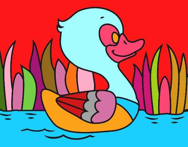 Patito de río