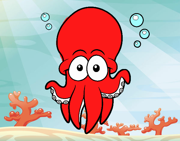 Pulpo rojo