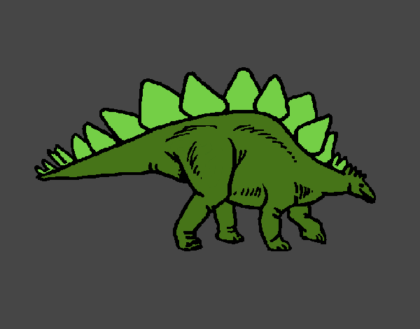 Stegosaurus