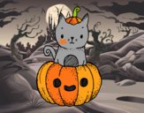 Un gatito de Halloween