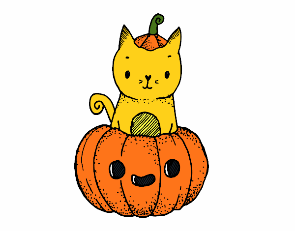 gatito co calabaza de hallowen