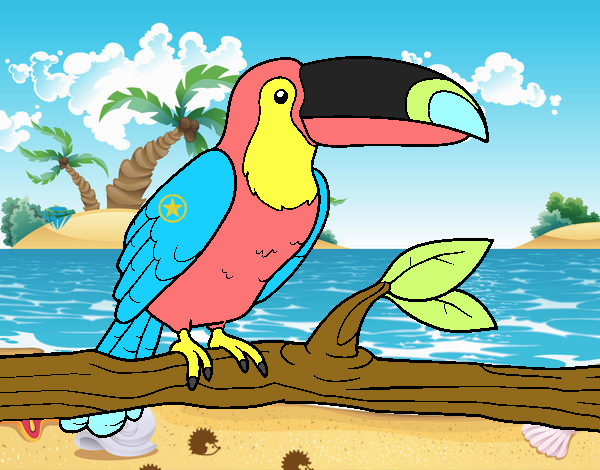 toucan en la playa