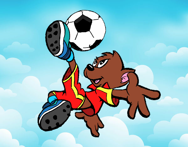 El perro Jugando Futbol