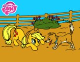 Applejack y Winona