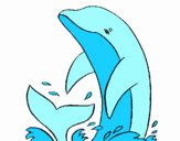 Delfín chapoteando
