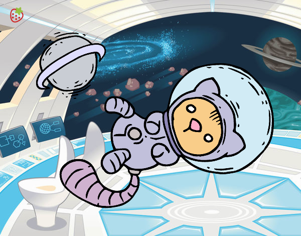 Gatito astronauta