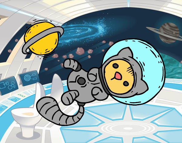 Gatito astronauta