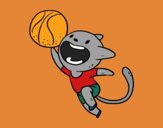 Gato jugando a baloncesto