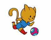 Gato jugando a fútbol