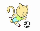 Gato jugando a fútbol