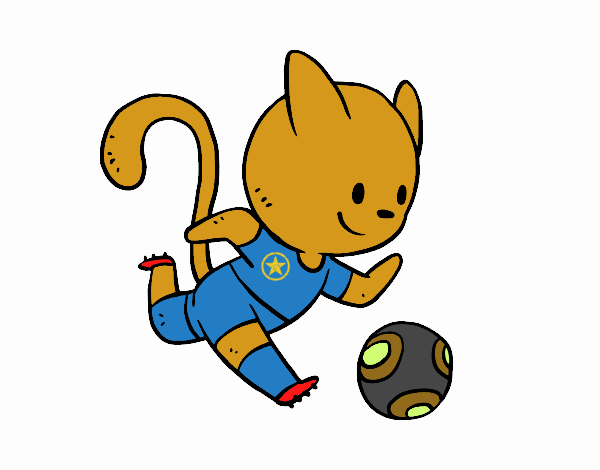 Gato jugando a fútbol