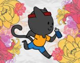 Gato runner