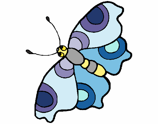 Mariposa 11