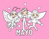 Mayo