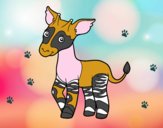 Okapi