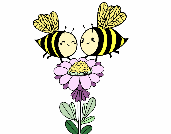 Pareja de abejas