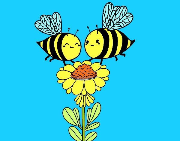 Pareja de abejas