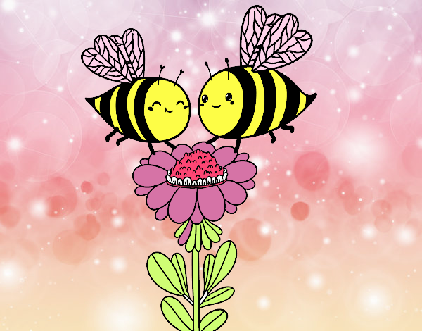 Pareja de abejas