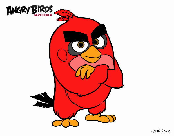 Red de Angry Birds