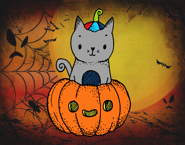 Un gatito de Halloween