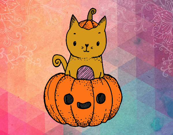 Un gatito de Halloween