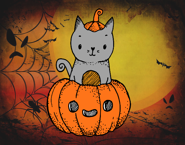 Un gatito de Halloween