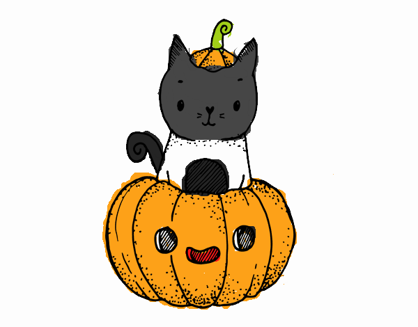 Un gatito de Halloween