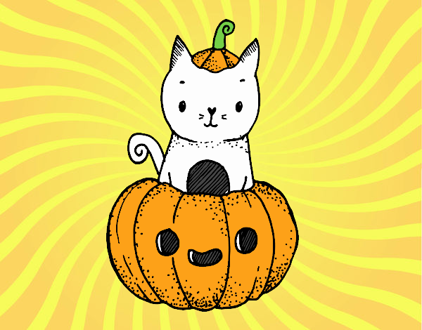 gato hallowen