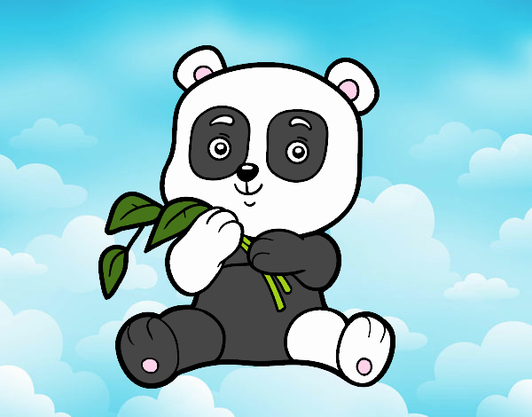 Un oso panda