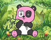 Un oso panda