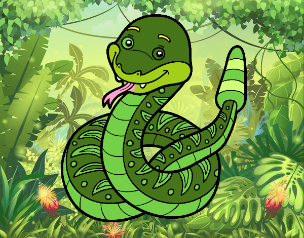una serpiente de la selva
