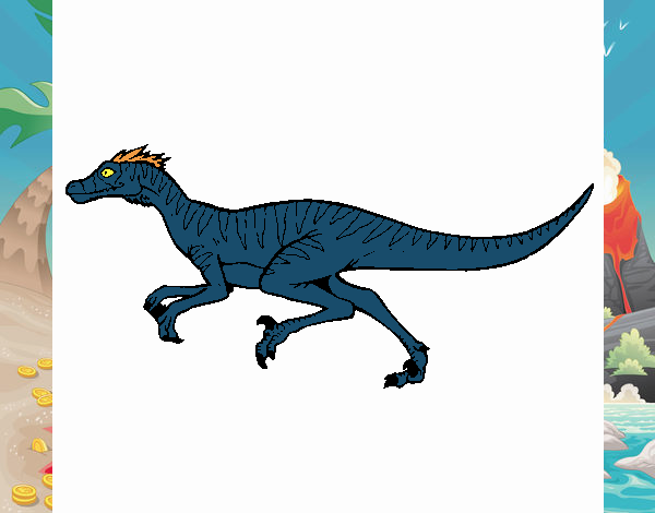 Velociraptor