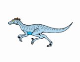 Velociraptor