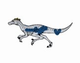 Velociraptor