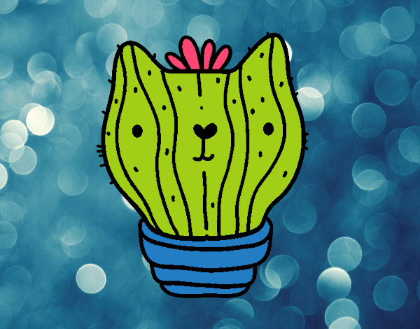 Cactus gato