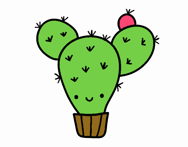 CACTUS