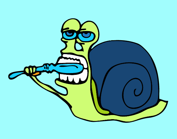 Caracol limpio