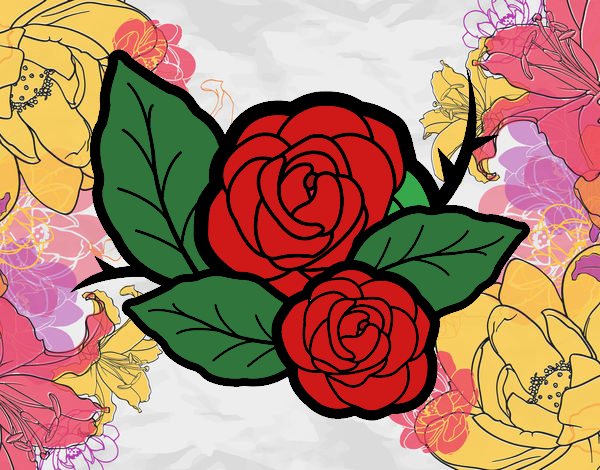 Dos rosas