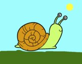 El caracol